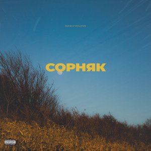 Вижуземлю - Сорняк